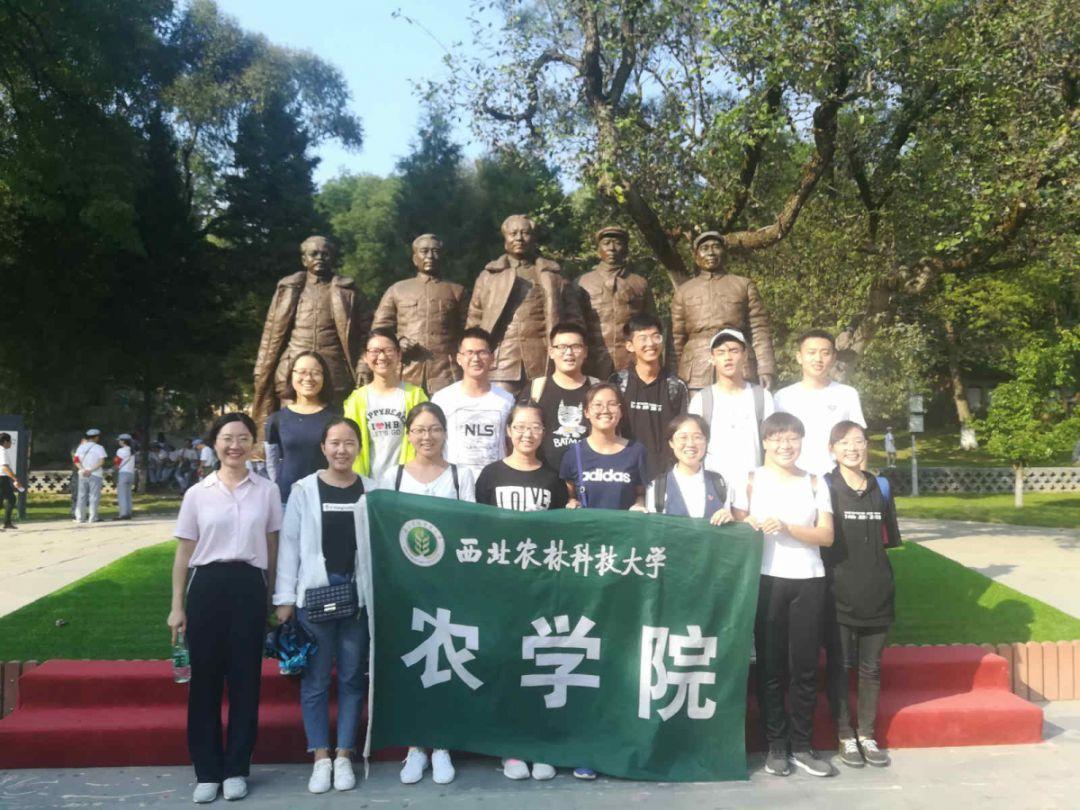 组装机械机甲暴龙2